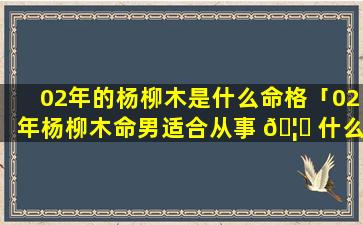 02年的杨柳木是什么命格「02年杨柳木命男适合从事 🦋 什么 🦟 职业」